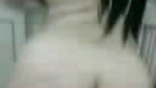 ಮುದ್ದಾದ ಏಷ್ಯನ್ ಸೂಳೆ ಸಕುರಾ ಐಡಾ ಗ್ರಾಹಕರ ಮಾದಕ HD ಚಲನಚಿತ್ರ ಜೋಡಿಗೆ ಬ್ಲೋಜಾಬ್ ನೀಡುತ್ತದೆ